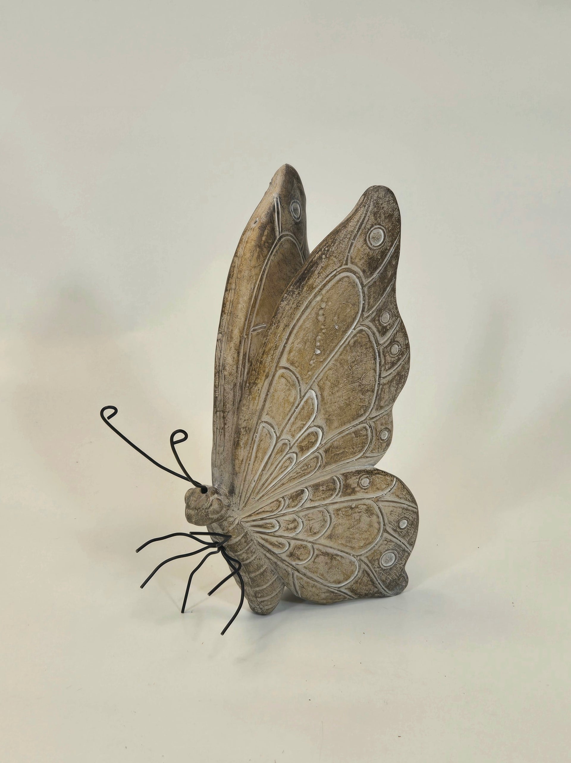 Rustic Butterfly Melrose 96434